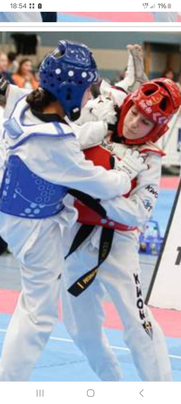 Taekwondo Turnier